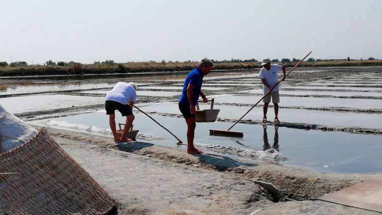 Salinari al lavoro per la raccolta dell’oro bianco