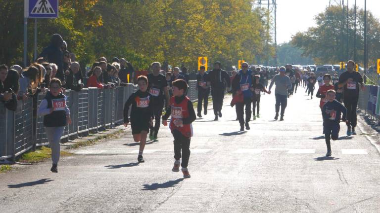 Maratona Ravenna Città d’Arte 2023: la corsa dei cani dopo una Family Run con oltre 2000 partecipanti - VIDEO GALLERY Maratona Ravenna Città d’Arte 2023: la corsa dei cani dopo una Family Run con oltre 2000 partecipanti - VIDEO GALLERY