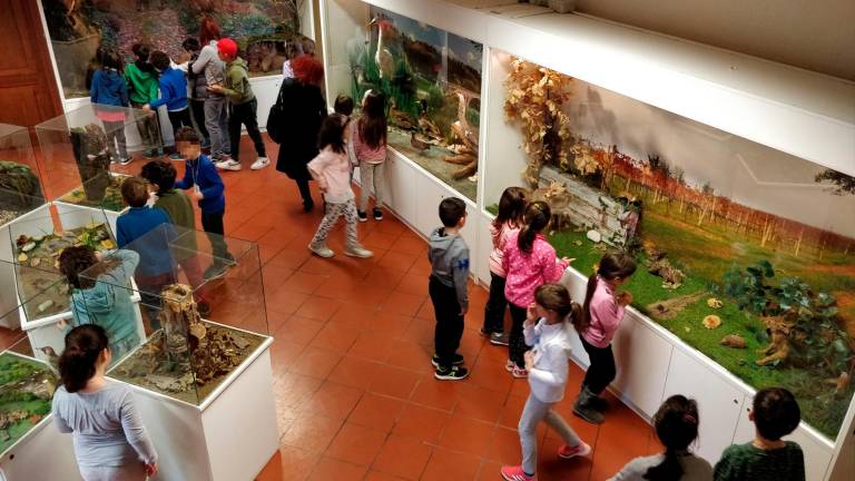 Cesena, museo dell’ecologia: si cerca un nuovo gestore Cesena, museo dell’ecologia: si cerca un nuovo gestore