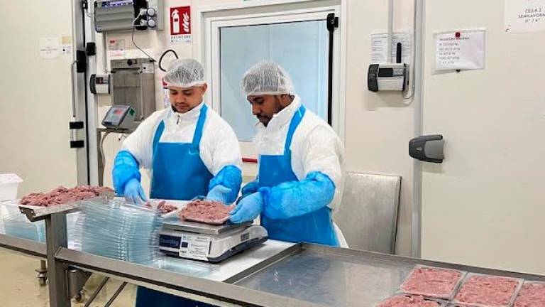 Cesenatico, Ecopesce, la start up del cibo consapevole: “Vidi un pescatore gettare ai gabbiani una cassa piena di alici e mi è nata l’idea” Cesenatico, Ecopesce, la start up del cibo consapevole: “Vidi un pescatore gettare ai gabbiani una cassa piena di alici e mi è nata l’idea”
