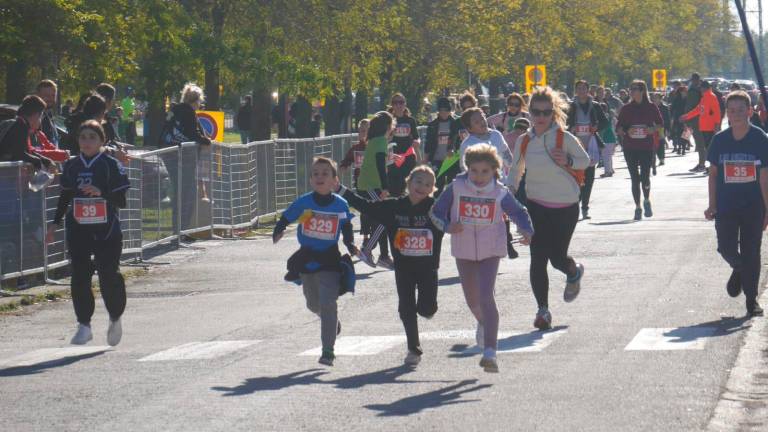 Maratona Ravenna Città d’Arte 2023: la corsa dei cani dopo una Family Run con oltre 2000 partecipanti - VIDEO GALLERY Maratona Ravenna Città d’Arte 2023: la corsa dei cani dopo una Family Run con oltre 2000 partecipanti - VIDEO GALLERY