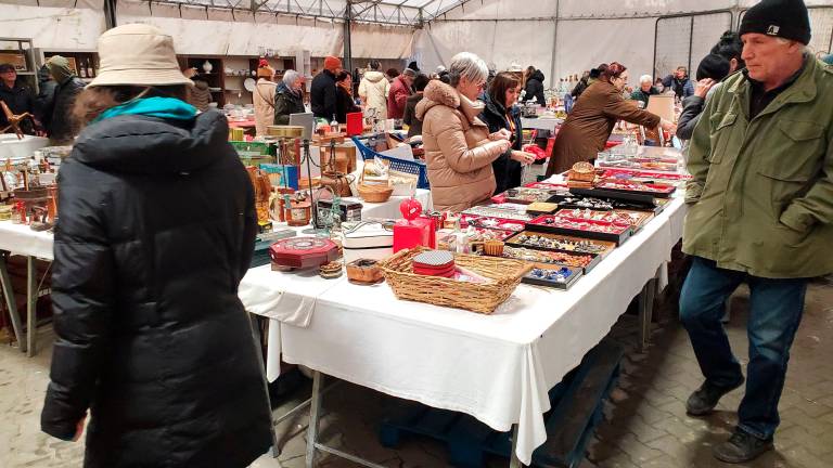 Forlì, pienone per il Mercatino dell’usato del Comitato per la lotta contro la fame nel mondo FOTOGALLERY Forlì, pienone per il Mercatino dell’usato del Comitato per la lotta contro la fame nel mondo FOTOGALLERY