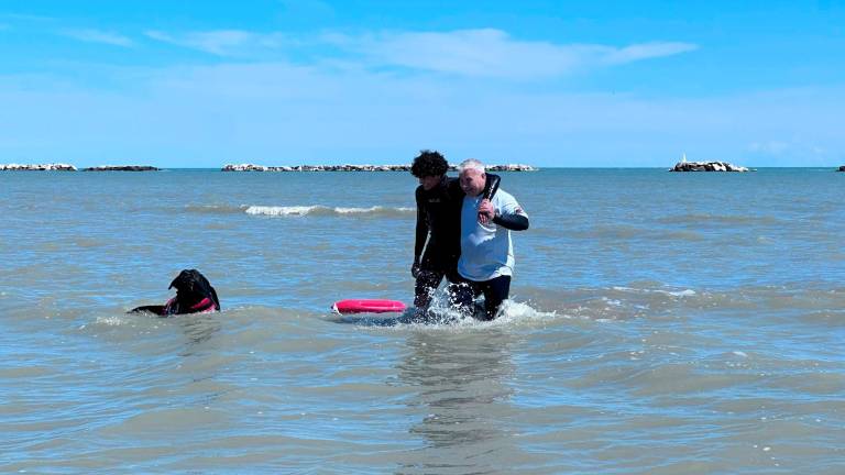 Cesenatico, a lezione di cittadinanza attiva in spiaggia con l’unità cinofila di salvataggio in mare e Legambiente Cesenatico, a lezione di cittadinanza attiva in spiaggia con l’unità cinofila di salvataggio in mare e Legambiente