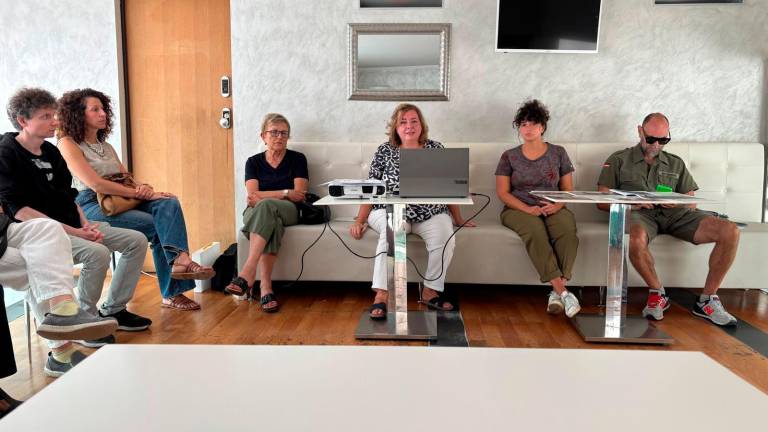 Esposti in procura per i pini di Lido di Savio: «Alberi danneggiati dalle prove di trazione» Esposti in procura per i pini di Lido di Savio: «Alberi danneggiati dalle prove di trazione»