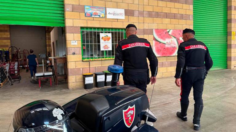 Per rubare negli stand i ladri devastano il mercato all’ingrosso di Cesena FOTOGALLERY Per rubare negli stand i ladri devastano il mercato all’ingrosso di Cesena FOTOGALLERY