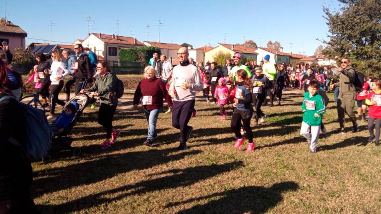 Maratona Ravenna Città d’Arte 2023: la corsa dei cani dopo una Family Run con oltre 2000 partecipanti - VIDEO GALLERY Maratona Ravenna Città d’Arte 2023: la corsa dei cani dopo una Family Run con oltre 2000 partecipanti - VIDEO GALLERY