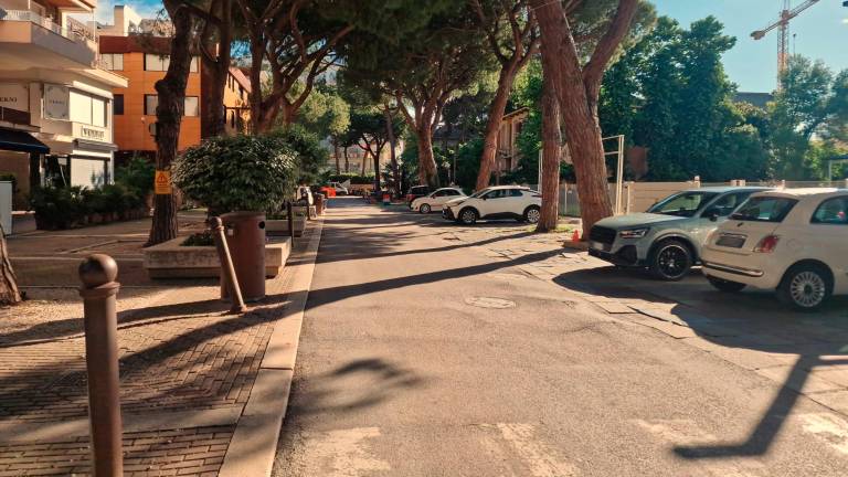Riccione. Quattro nuove aiuole con pini d’Aleppo in viale Corridoni Riccione. Quattro nuove aiuole con pini d’Aleppo in viale Corridoni