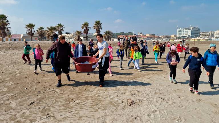 Le tartarughe Tartufo e Torrone liberate in mare dopo le cure del Centro di recupero di Riccione - VIDEO GALLERY Le tartarughe Tartufo e Torrone liberate in mare dopo le cure del Centro di recupero di Riccione - VIDEO GALLERY
