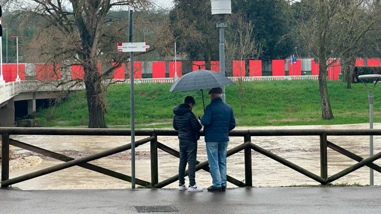 Imola, a Pieve Sant’Andrea 35 evacuati per la crepe che si aprono sulla strada Imola, a Pieve Sant’Andrea 35 evacuati per la crepe che si aprono sulla strada