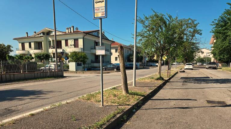 Rimini. Al via i lavori per eliminare le barriere architettoniche in tre fermate dei bus Rimini. Al via i lavori per eliminare le barriere architettoniche in tre fermate dei bus