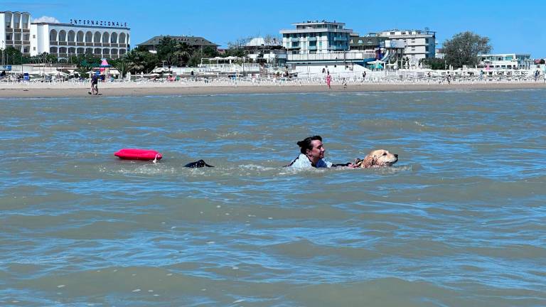 Cesenatico, a lezione di cittadinanza attiva in spiaggia con l’unità cinofila di salvataggio in mare e Legambiente Cesenatico, a lezione di cittadinanza attiva in spiaggia con l’unità cinofila di salvataggio in mare e Legambiente