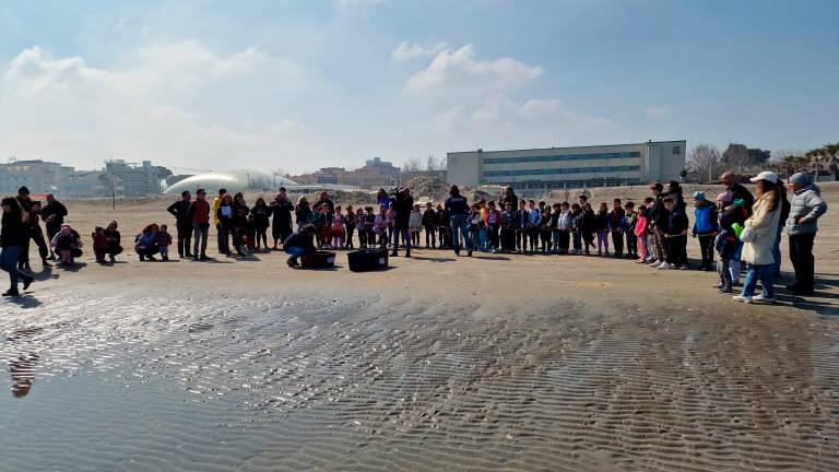 Le tartarughe Tartufo e Torrone liberate in mare dopo le cure del Centro di recupero di Riccione - VIDEO GALLERY Le tartarughe Tartufo e Torrone liberate in mare dopo le cure del Centro di recupero di Riccione - VIDEO GALLERY