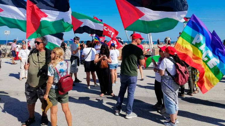 La voce di Rimini: “Pace e stop alle armi a Gaza” VIDEO GALLERY La voce di Rimini: “Pace e stop alle armi a Gaza” VIDEO GALLERY