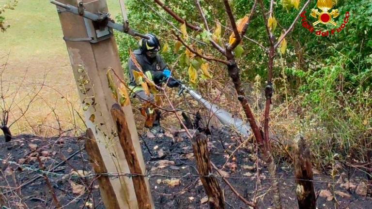 Bagno di Romagna, incendio provocato da un fulmine spento dai vigili del fuoco Bagno di Romagna, incendio provocato da un fulmine spento dai vigili del fuoco
