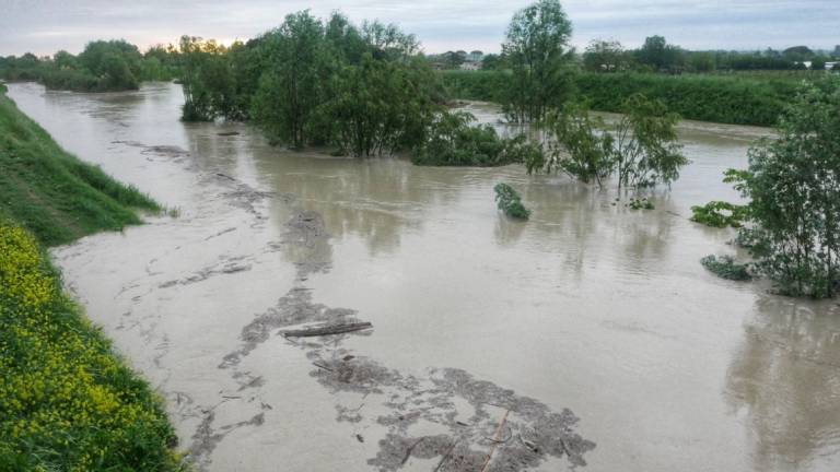 Bagnacavallo, la piena del Lamone inizia a scendere. Il Comune: Limitate gli spostamenti Bagnacavallo, la piena del Lamone inizia a scendere. Il Comune: Limitate gli spostamenti