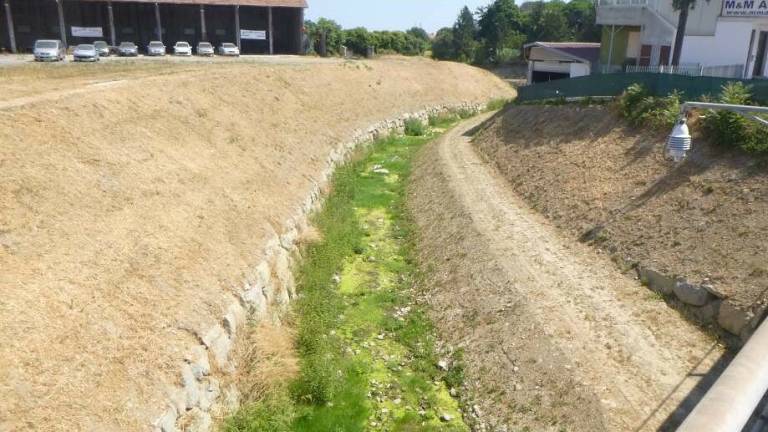 Cesena, la Regione: Via alla manutenzione del Rio Casalecchio e del Savio Cesena, la Regione: Via alla manutenzione del Rio Casalecchio e del Savio