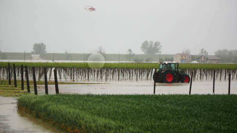 Maltempo in Romagna, campi allagati, al Macfrut la Legacoop chiede lo stato di calamità Maltempo in Romagna, campi allagati, al Macfrut la Legacoop chiede lo stato di calamità