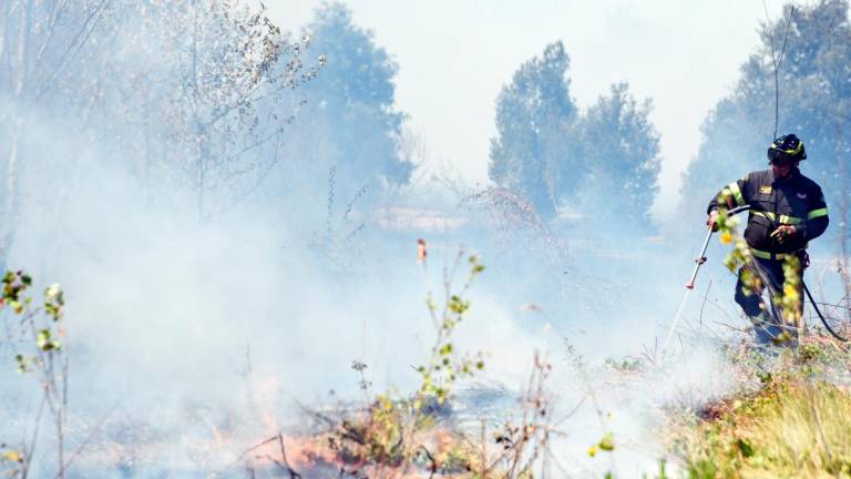 Un incendio a Gatteo, uno nella zona di Forlì-Cesena e uno nel Riminese solo nell’ultima settimana hanno richiesto l’intervento dei Vigili del Fuoco (Foto d’Archivio) Un incendio a Gatteo, uno nella zona di Forlì-Cesena e uno nel Riminese solo nell’ultima settimana hanno richiesto l’intervento dei Vigili del Fuoco (Foto d’Archivio)