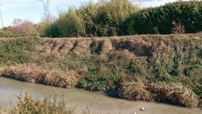 Forlì, partiti i lavori nei bacini del Ronco-Bidente e del Bevano nei territori di Cusercoli, Meldola e Bertinoro