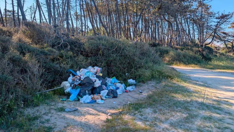 Ravenna, la spiaggia naturista di Lido di Dante tra rifiuti e legname Ravenna, la spiaggia naturista di Lido di Dante tra rifiuti e legname