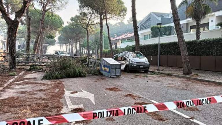 Crolla una gru e distrugge un furgone a Milano Marittima