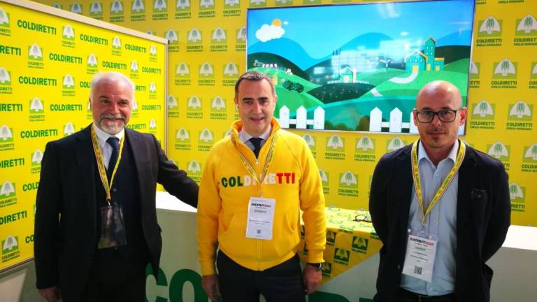 Forlì. Camera di commercio, il neo consigliere Corsini: Agricoltura, settore fondamentale Forlì. Camera di commercio, il neo consigliere Corsini: Agricoltura, settore fondamentale