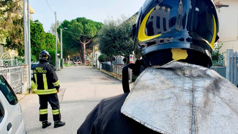 Foto e video Migliorini Foto e video Migliorini