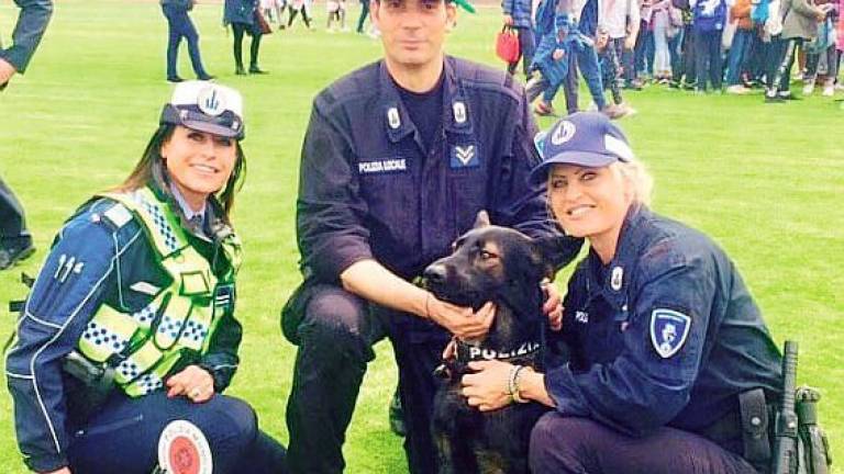 Ziko il cane poliziotto di Riccione trova droga e pusher: in 17 finiti in manette Ziko il cane poliziotto di Riccione trova droga e pusher: in 17 finiti in manette