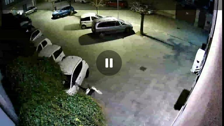 Identificati due degli autori degli atti vandalici a Savignano Identificati due degli autori degli atti vandalici a Savignano