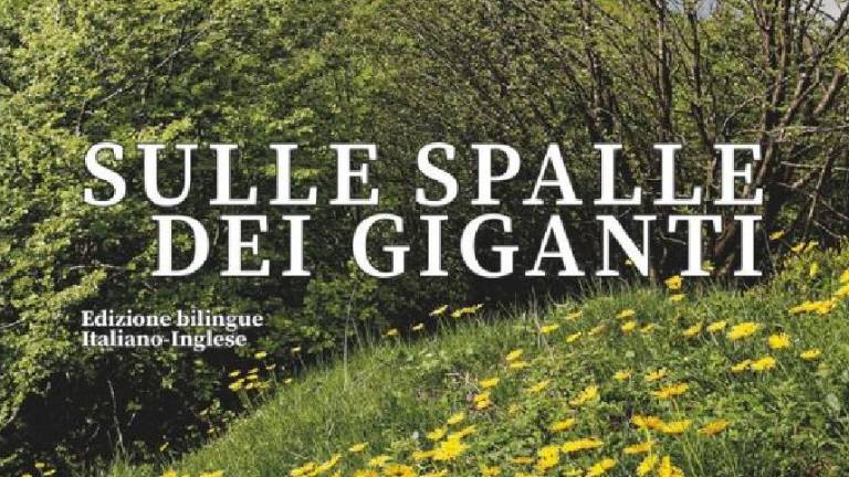 Basta un click per sfogliare i volumi della Fondazione Cassa di Risparmio di Cesena e Forlì Basta un click per sfogliare i volumi della Fondazione Cassa di Risparmio di Cesena e Forlì