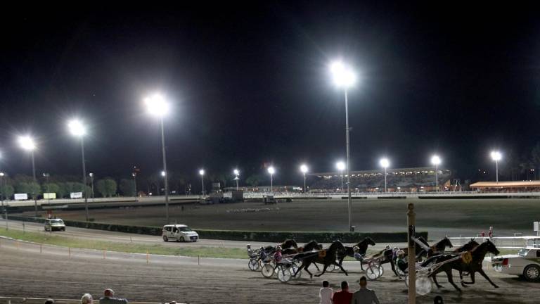 Cesena, ippodromo e nuova illuminazione: appaltati i lavori Cesena, ippodromo e nuova illuminazione: appaltati i lavori
