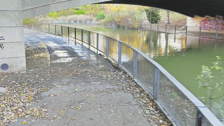 Rimini, Parco della Cava: il laghetto tracima. «Sottopasso bloccato per settimane» Rimini, Parco della Cava: il laghetto tracima. «Sottopasso bloccato per settimane»
