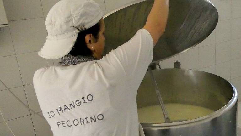 “Buon pastore” per scelta Latte crudo biologico e sapienza “Buon pastore” per scelta Latte crudo biologico e sapienza