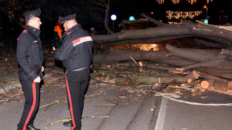 Romagna devastata dalle raffiche di vento: alberi crollati su case, auto e strade. Feriti a San Marino. Famiglie senza luce. Il fiume Montone oltre la soglia rossa Romagna devastata dalle raffiche di vento: alberi crollati su case, auto e strade. Feriti a San Marino. Famiglie senza luce. Il fiume Montone oltre la soglia rossa