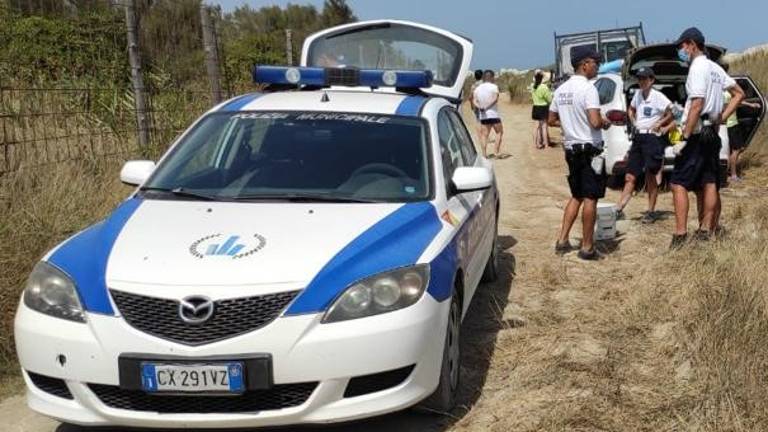 Ravenna, sorpresi a raccogliere molluschi sulle scogliere: 15 sanzionati Ravenna, sorpresi a raccogliere molluschi sulle scogliere: 15 sanzionati