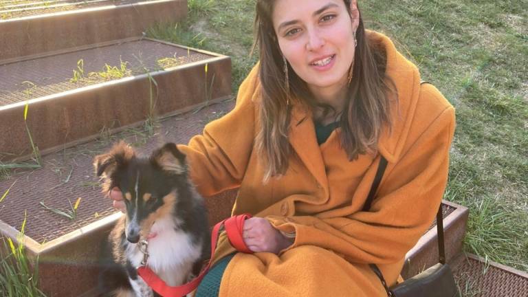 Rimini contro l'abbandono dei cani: nel 2021 sono stati 28 Rimini contro l'abbandono dei cani: nel 2021 sono stati 28
