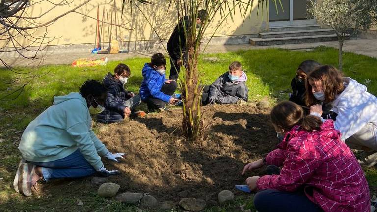 Forlì, gli studenti della Mercuriale al lavoro per tenere pulita la scuola -Gallery Forlì, gli studenti della Mercuriale al lavoro per tenere pulita la scuola -Gallery