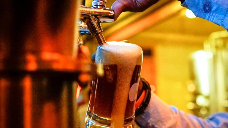 Sommelier della birra: il primo corso completo è a Cesena