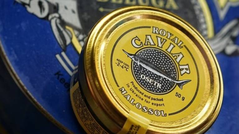 Caro bollette, asta a San Patrignano per pagarle: c'è di tutto, dagli orologi al caviale Caro bollette, asta a San Patrignano per pagarle: c'è di tutto, dagli orologi al caviale