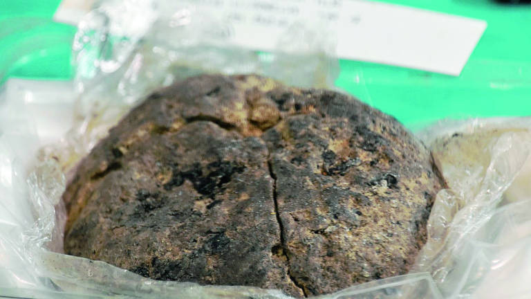 Il pane di 2mila anni fa trovato a Forlì era integro perché raffermo Il pane di 2mila anni fa trovato a Forlì era integro perché raffermo