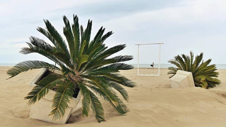 Luci, foto e parole sulla grande duna: ecco “L’altra stagione” di Rimini Luci, foto e parole sulla grande duna: ecco “L’altra stagione” di Rimini