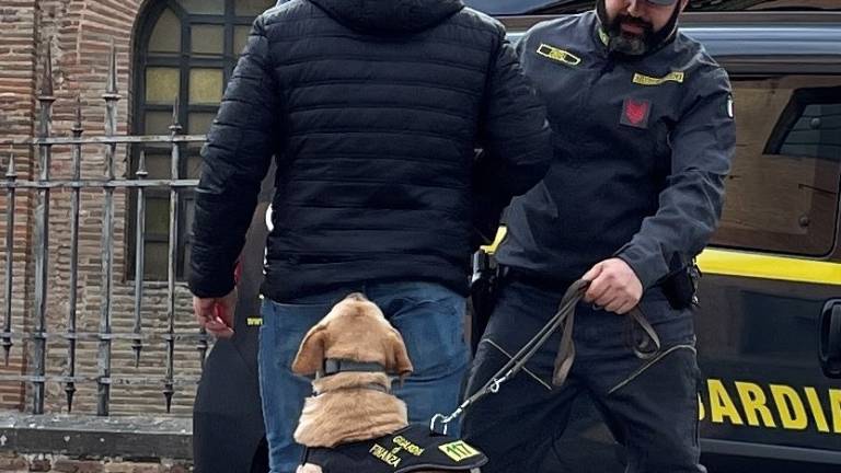 Ravenna, tradito dall'hashish in tasca: arrestato un ricercato per tentato omicidio Ravenna, tradito dall'hashish in tasca: arrestato un ricercato per tentato omicidio