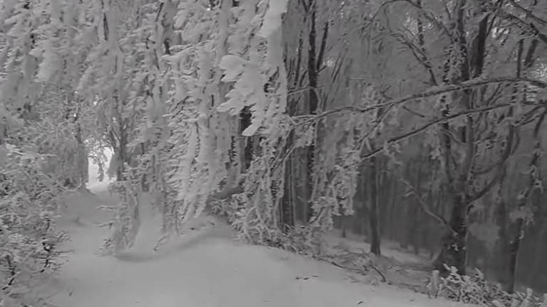 Campigna, neve e magnifico scenario sulla Burraia VIDEO Campigna, neve e magnifico scenario sulla Burraia VIDEO