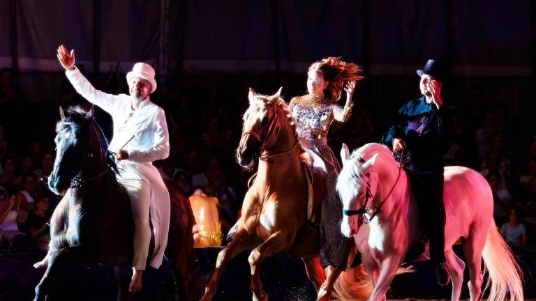 Gessica Notaro fa il pieno di applausi: un successo il suo musical equestre VIDEO Gessica Notaro fa il pieno di applausi: un successo il suo musical equestre VIDEO