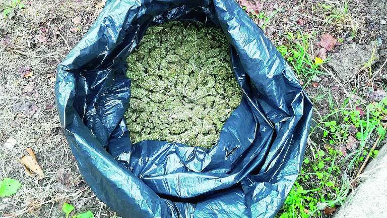Droga e armi nello chalet di pesca sportiva, arrestato 46enne di Imola Droga e armi nello chalet di pesca sportiva, arrestato 46enne di Imola