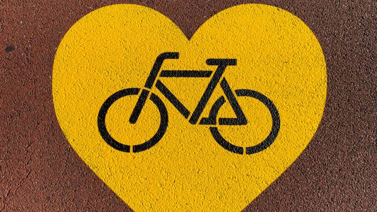 Cerchi tutto per la tua bici? Oggi lo trovi online Cerchi tutto per la tua bici? Oggi lo trovi online