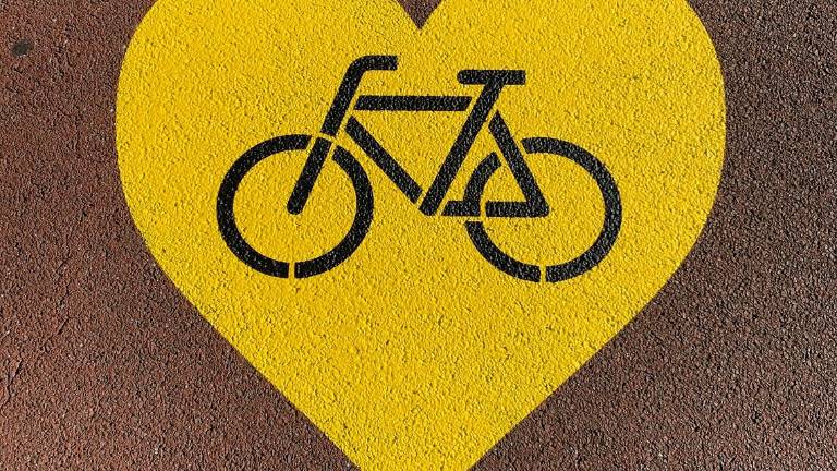 Forlì, via ai lavori per una nuova pista ciclabile a Vecchiazzano Forlì, via ai lavori per una nuova pista ciclabile a Vecchiazzano