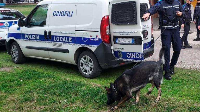 Controlli della polizia locale Controlli della polizia locale