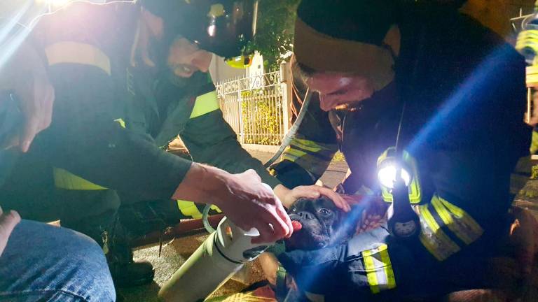 Riccione. Incendio in appartamento, salvata una coppia e il cane - Fotogallery Riccione. Incendio in appartamento, salvata una coppia e il cane - Fotogallery