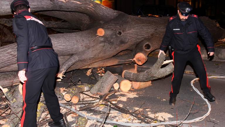 Romagna devastata dalle raffiche di vento: alberi crollati su case, auto e strade. Feriti a San Marino. Famiglie senza luce. Il fiume Montone oltre la soglia rossa Romagna devastata dalle raffiche di vento: alberi crollati su case, auto e strade. Feriti a San Marino. Famiglie senza luce. Il fiume Montone oltre la soglia rossa